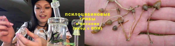 круглые Алзамай