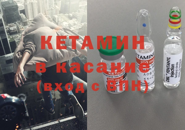 крисы Алексин