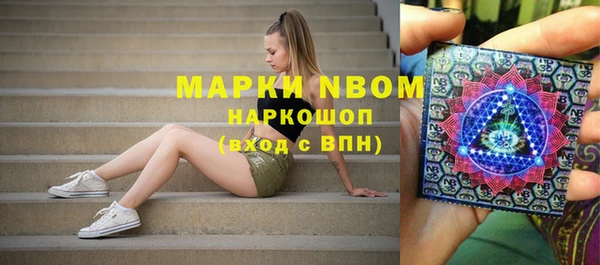 крисы Алексин