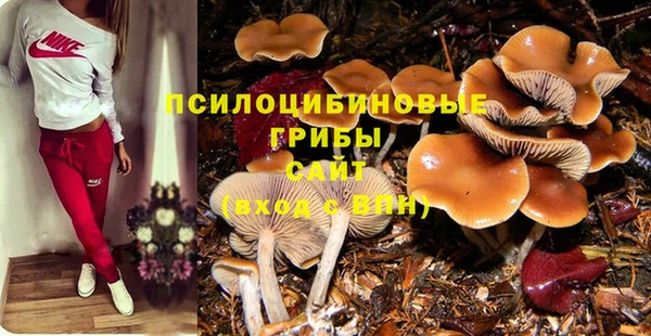 крисы Алексин
