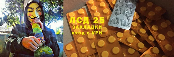 крисы Алексин