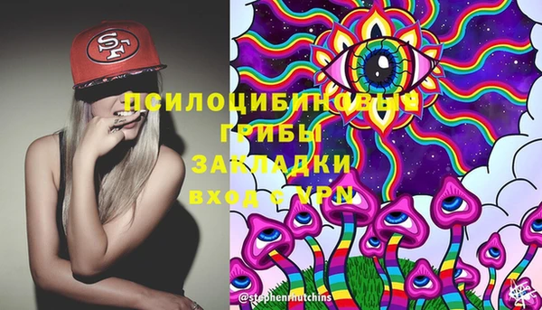 крисы Алексин